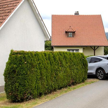 Flat Bull Appartement Mit Garten Sankt Lorenzen bei Knittelfeld Exteriér fotografie